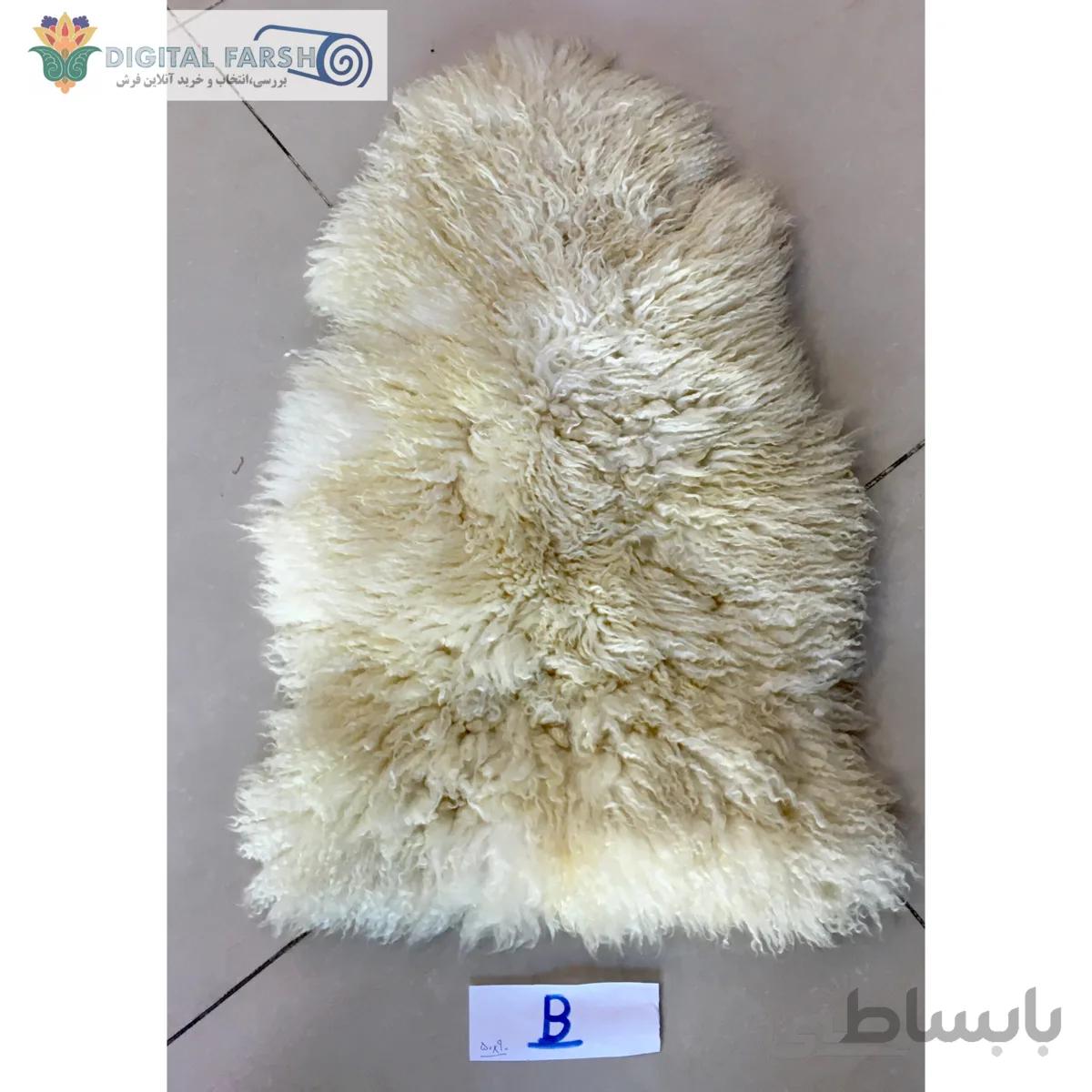 خز طبیعی گوسفند پشمی مرینوس ا sheep wool