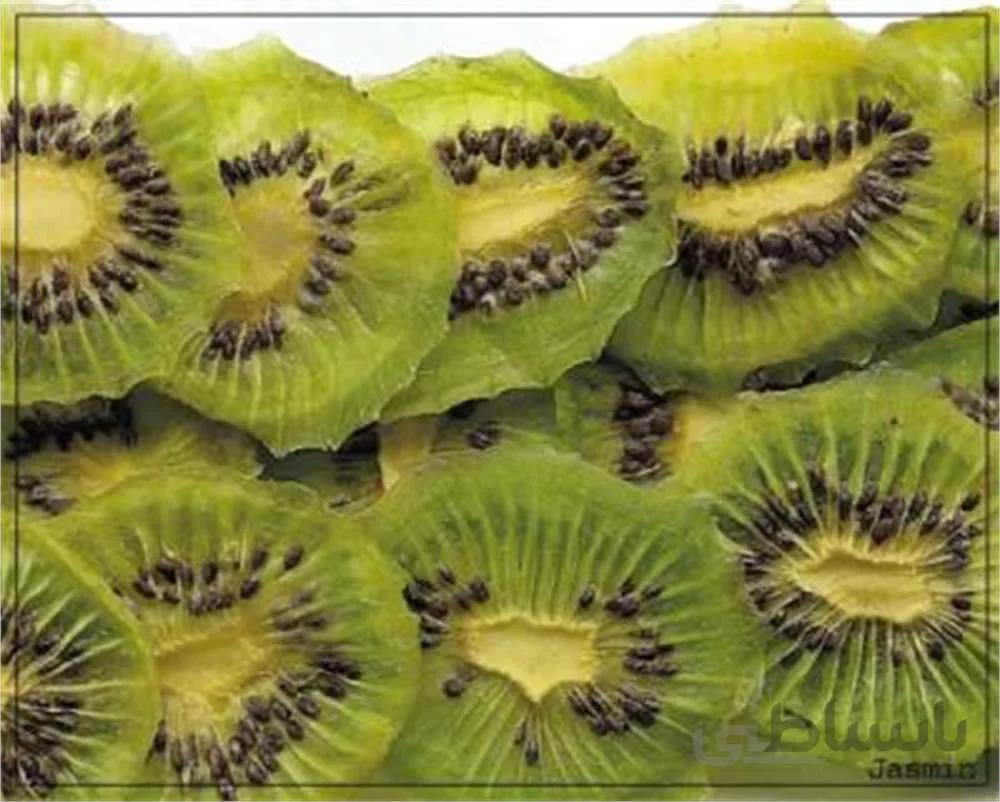 میوه خشک کیوی ا Dried Kiwi