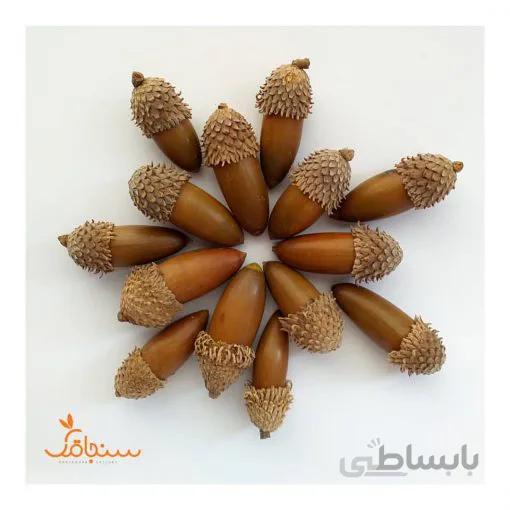 بلوط(بستهی ۵تایی)