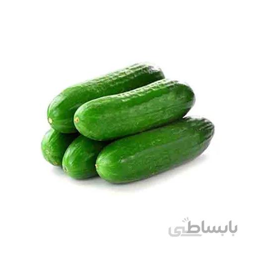 خیار سالادی درجه یک - 1 کیلوگرم