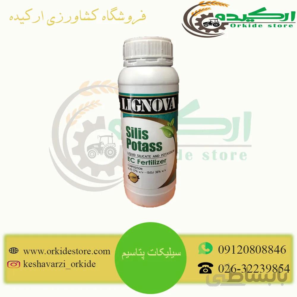 سیلیکات پتاسیم ایرانی