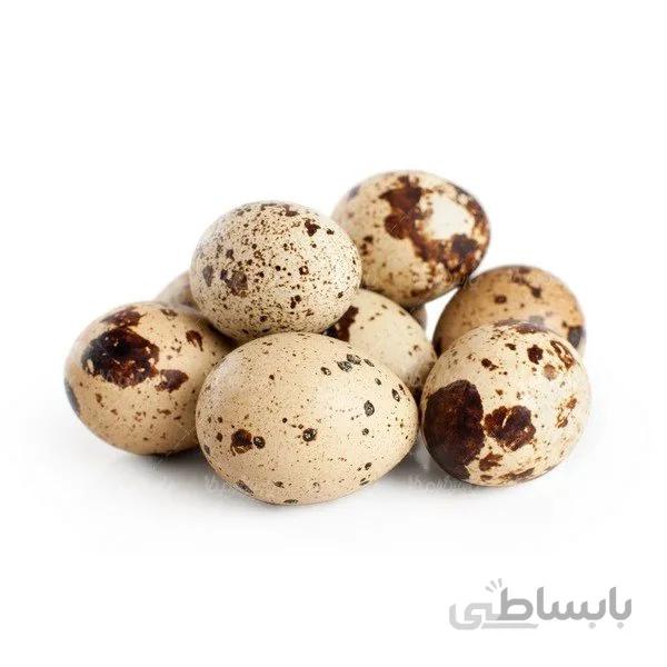 تخم بلدرچین