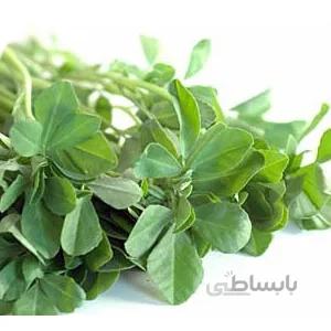 بذر شنبلیله کد 880113