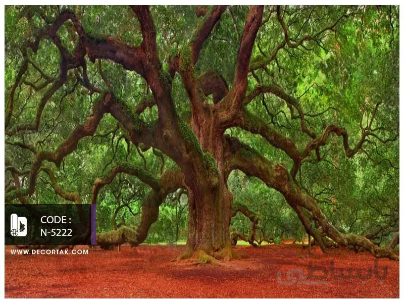 پوستر دیواری سه بعدی درخت کهنسال کد N-5222