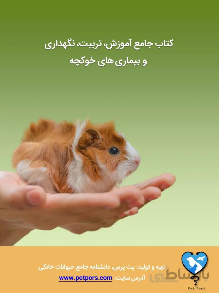 کتاب جامع تربیت، نگهداری اصولی و بیماریهای خوکچه هندی