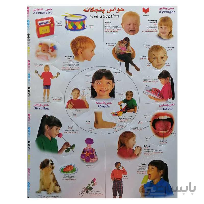 برچسب آموزشی حواس پنجگانه