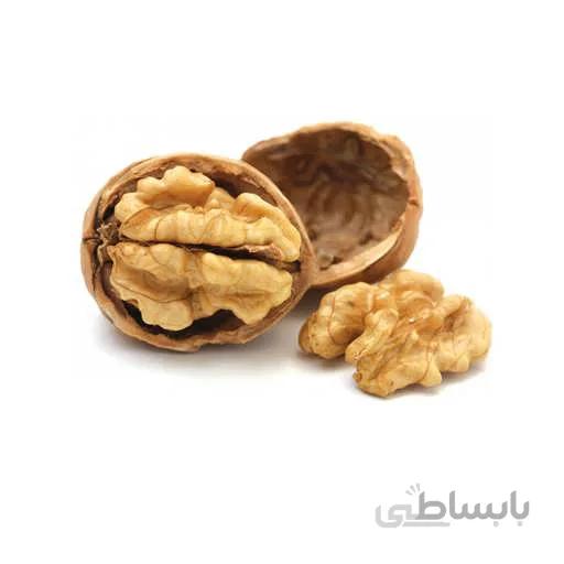 بذر گردو سوزنی