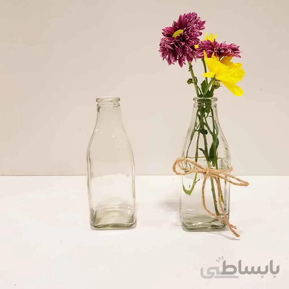 بطری آمازون جزیره