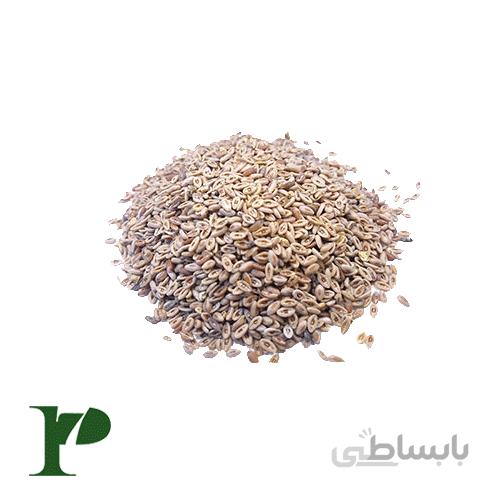 اسفرزه بستهی 50 گرمی