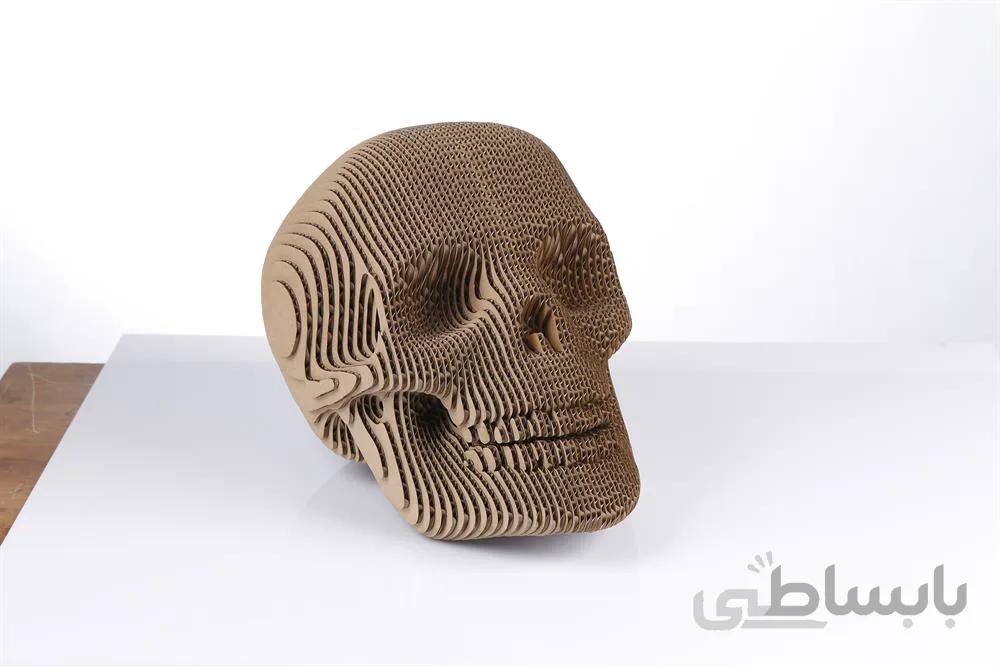 اسکلت انسان ا HUMAN SKULL