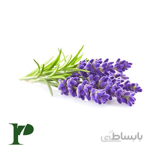 اسطوخودوس بستهی 50گرمی