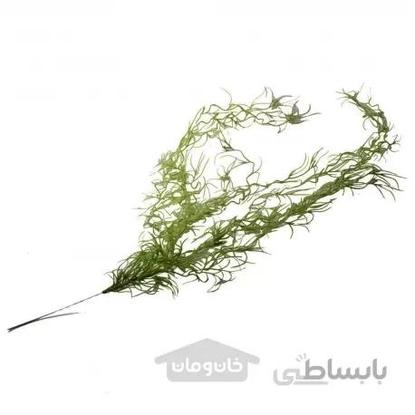 خزه اسپانیایی دکوری