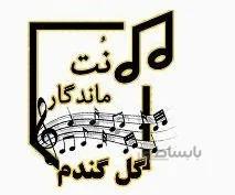 گل گندم