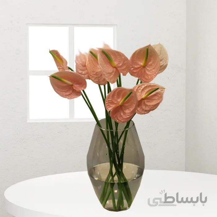 گلدان گل آنتریم کد 1079802