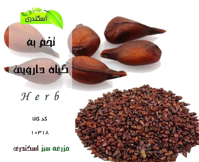 تخم به