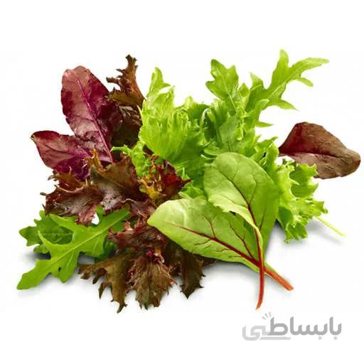 بذر سبزیجات بیبی میکس