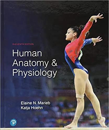 دانلود کتاب Human Anatomy & Physiology (11th Edition) BY Marieb - Hq Pdf