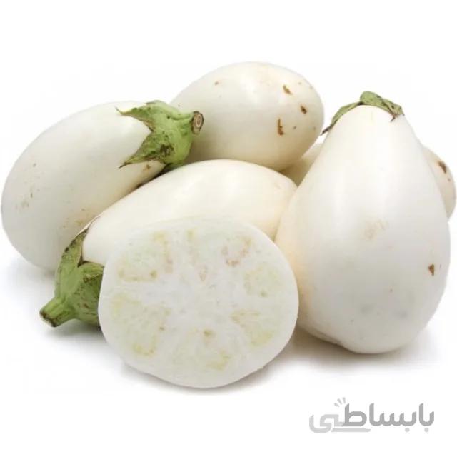 بذر بادمجان سفید گلدانی