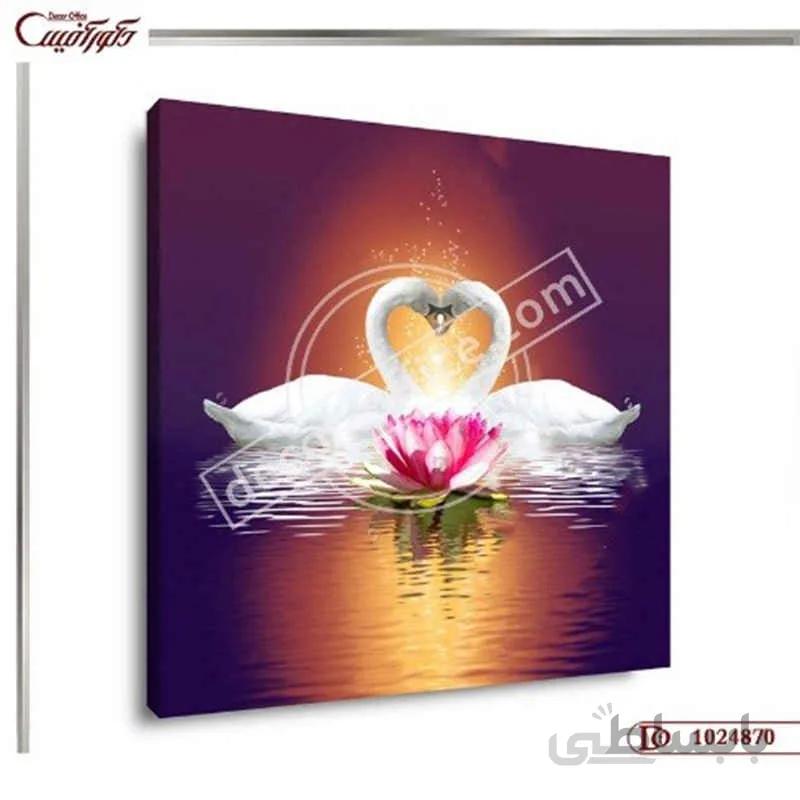 تابلو قو عاشق 4870 ا Picture of a swan in love 4870