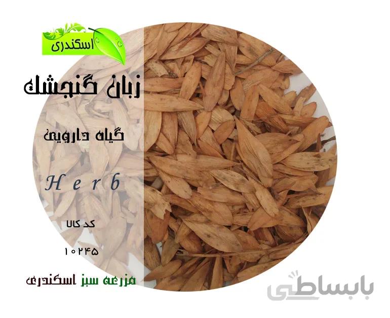 زبان گنجشک
