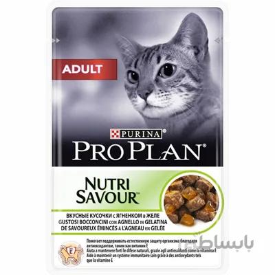 پوچ Proplan مخصوص گربه عقيم شده تهيه شده از گوشت ماهی ازاد - 85گرم