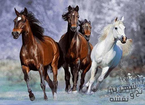 خرید مستقیم نخ و نقشه تابلوفرش طرح اسب های دونده کد j-162