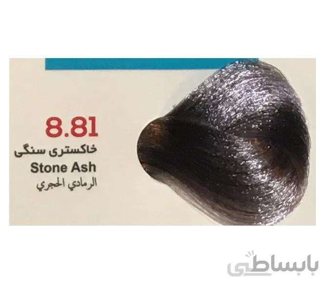 رنگ مو ویانا (Viana) خاکستری سنگی (شماره 8/81 هایلایت) حجم 100 میل
