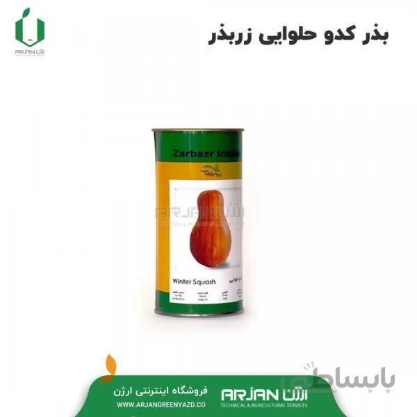 بذر کدو حلوایی ( قوطی 100 گرمی )