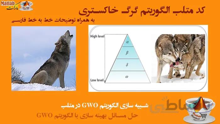کد متلب الگوریتم گرگ خاکستری : کد متلب GWO