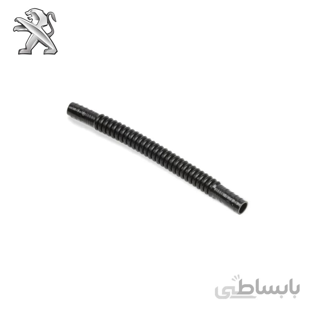 خرطومی باک پژو206
