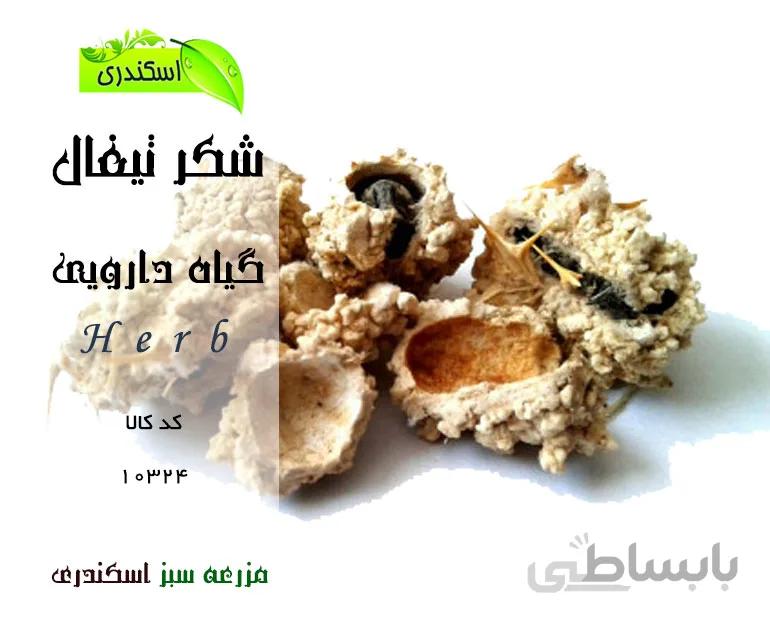 شکر تیغال