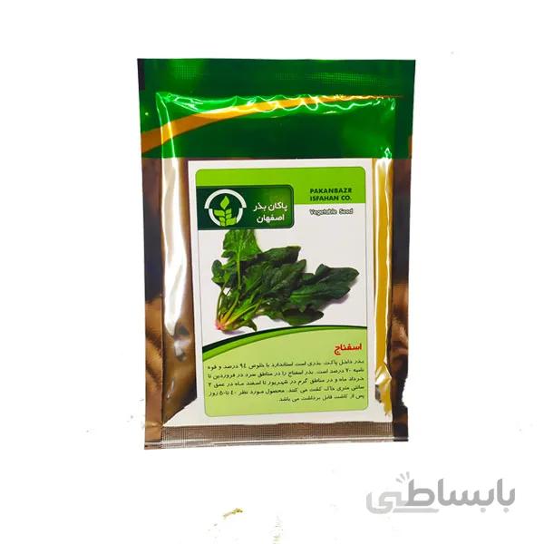 بذر اسفناج پاکان بذر