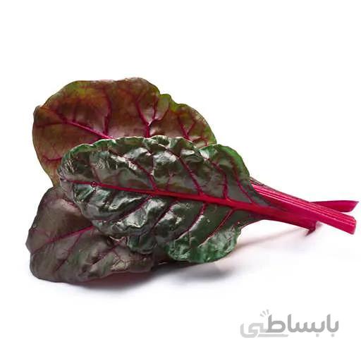 بذر سوئیس چارد قرمز