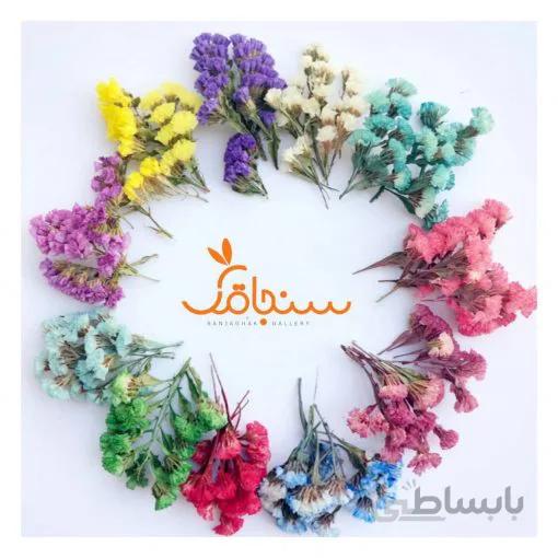 گل استاتیس(لیمونیوم)بستهای