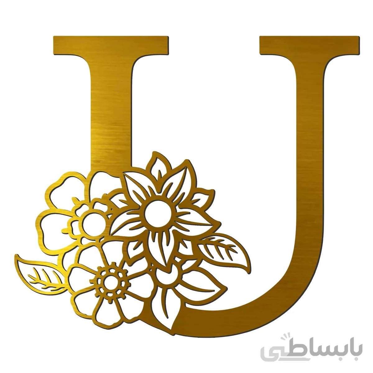 ایینه پلکسی گلس فروشگاه اژنگ مدل حروف گل دار طرح حروف U کد14636007