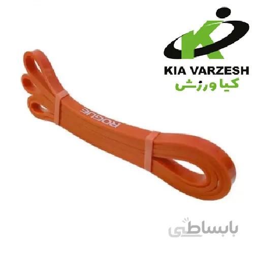 کش پاورباند 2 میل روگ ROGUE - مشخصات، قیمت و خرید ا powerband cache 2 miles rogue