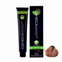 رنگ مو گانسا شماره 7.405 حجم 100 میلی لیتر رنگ بژ گردویی ا GANECA Hair Color Cream Nut Beige 100ml No: 7.405