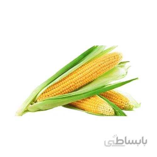بذر ذرت شیرین هیبرید
