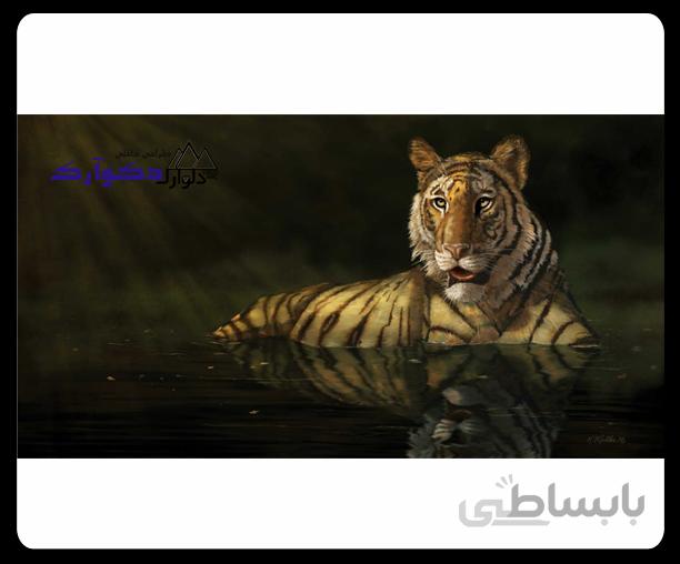 پوسترحیوانات024