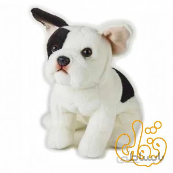 بولداگ فرانسوی 742291