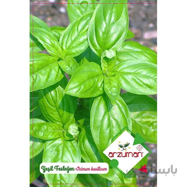 بذر ریحان سبز برگ پهن ایتالیایی آرزومان