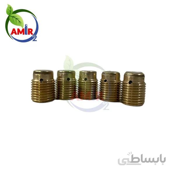مغزی شیر ایرانی