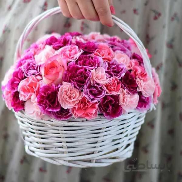 سبد گل میخک مینیاتوری و رز