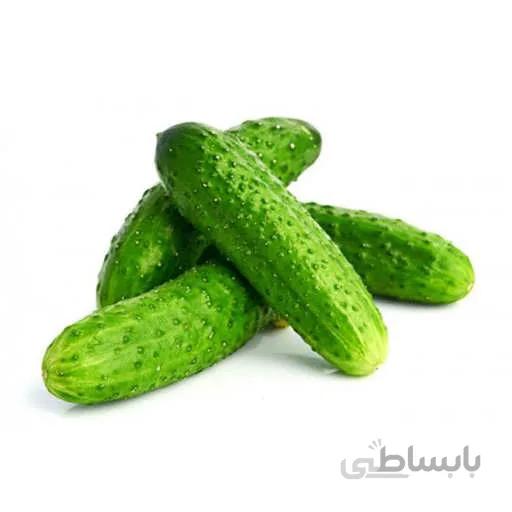 بذر خیار اصفهانی