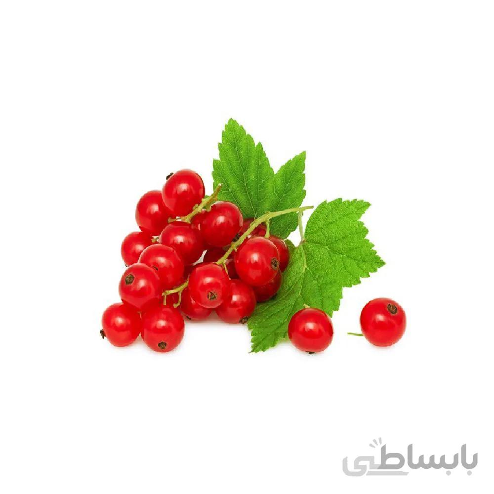 بذر ردکارنت انگور فرنگی قرمز
