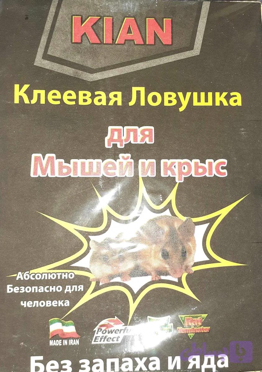 چسب موش کتابی کیان