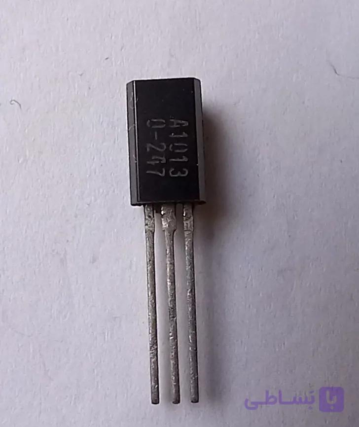 a1013