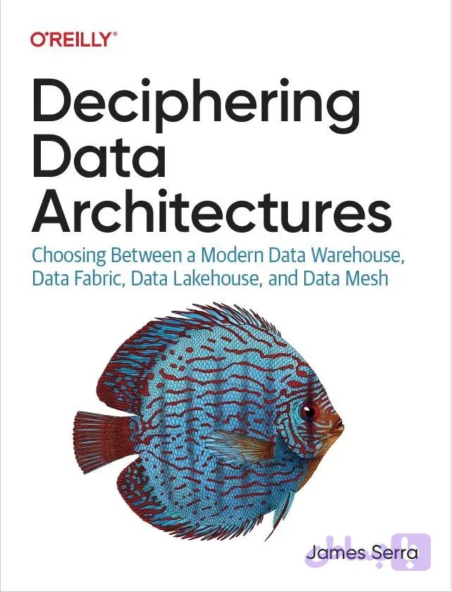 دانلود کتاب Deciphering Data Architectures