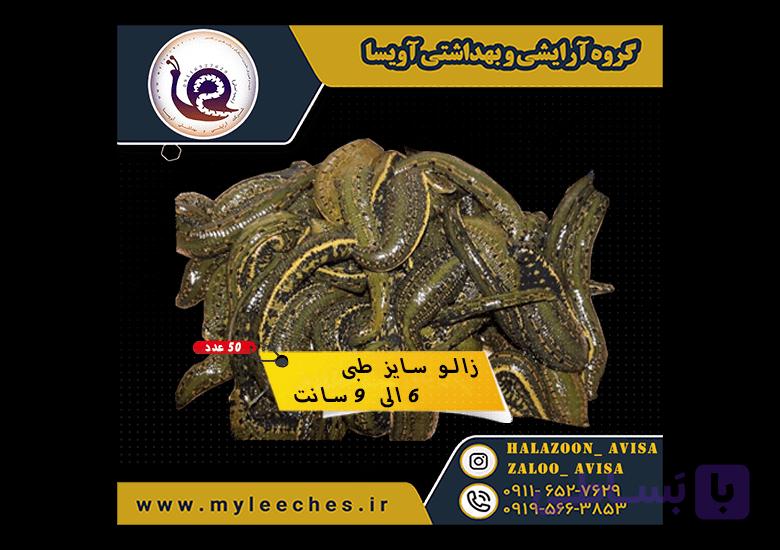 50 عددی زالو طبی