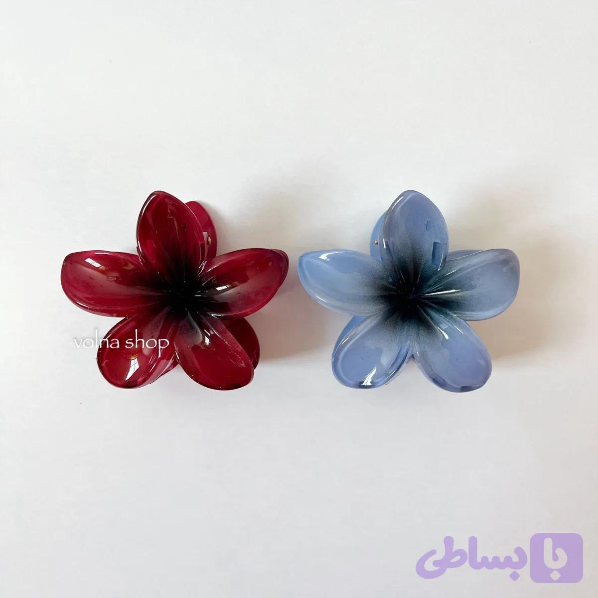 پلومریا چری و آبی